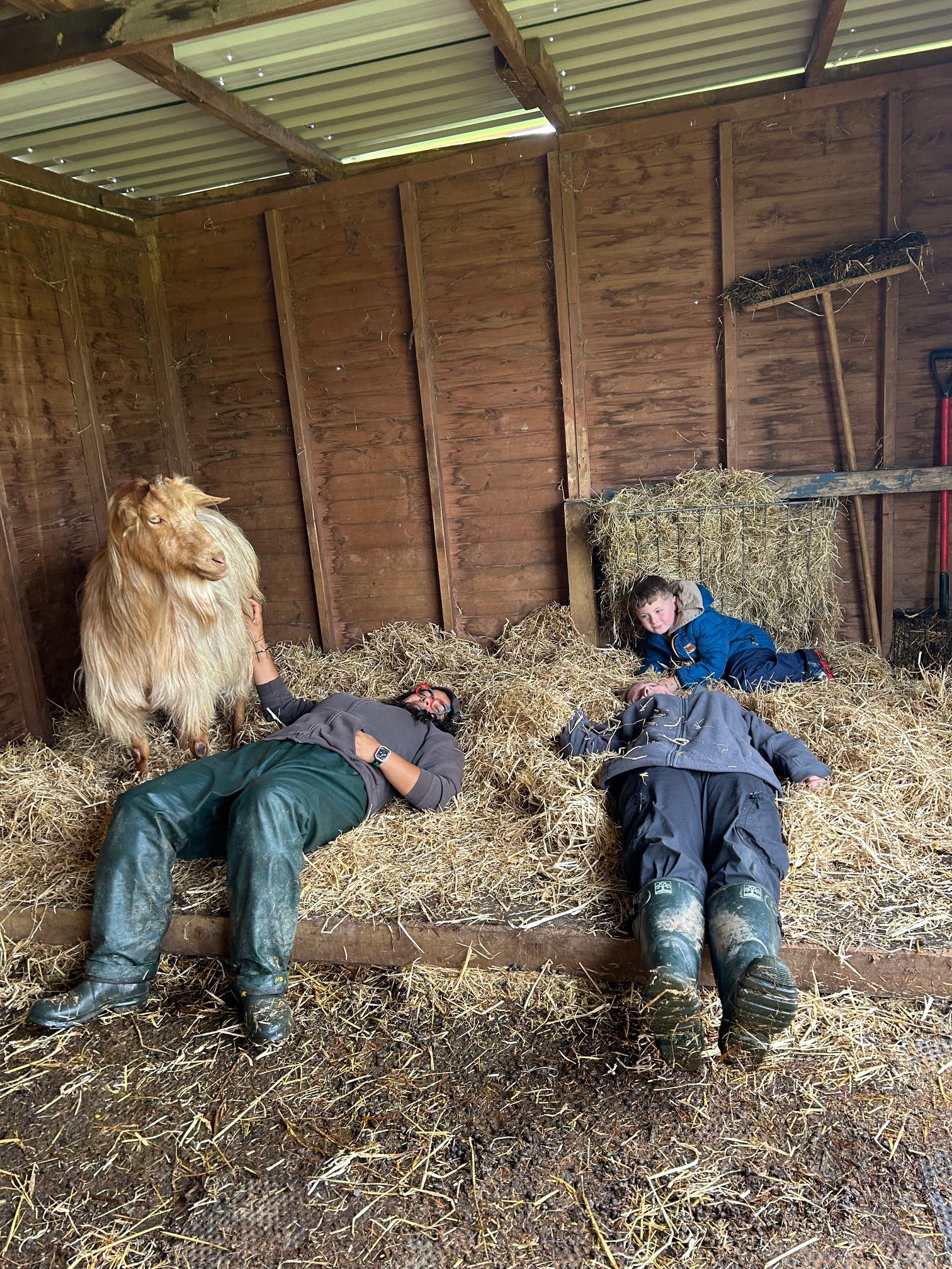 FarmFlourish1 Holiday Activities and Food Programme